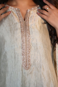 SILVER TISSUE KAFTAN WITHOUT STRIPES