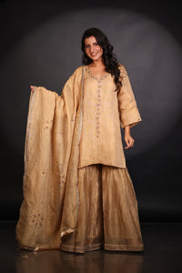 GOLD TISSUE SHARARA SET